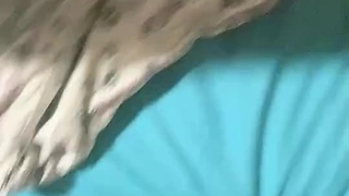 自慰和玩大鸡巴变性人